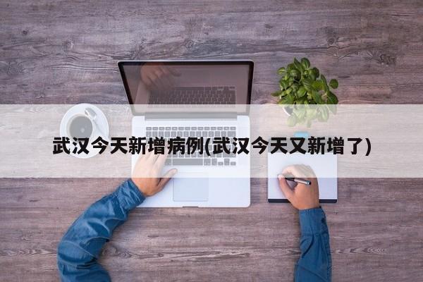 武汉今天新增病例(武汉今天又新增了)